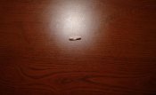 DSC02096.jpg