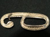 IMG_3872.JPG