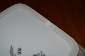 DSC_1038.JPG