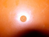 DSCN0021.JPG