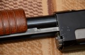 DSC_2731.JPG
