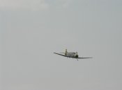 P5100163.jpg