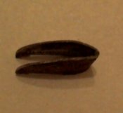 P_20150202_190453_1.jpg