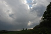 DSC_1307.jpg