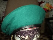 DSC08464.JPG