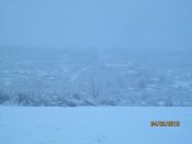 IMG_1410.JPG