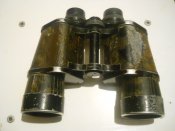 5046186234.jpg