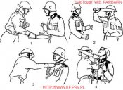 7534209.jpg