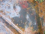 IMG_0125.JPG