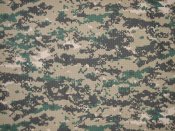 marpat_big.jpg
