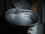 IMG_2946.jpg