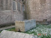 DSC06453.jpg