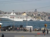 DSC06569.jpg