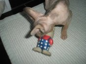 P2010004.JPG