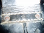 P1010020.jpg