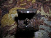 DSCN0331.jpg