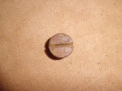 CIMG9859.JPG