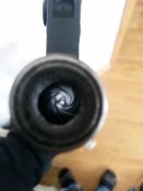 307.jpg
