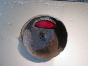 IMG_0808.jpg