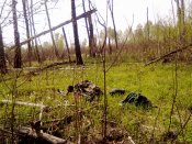 26042010021.jpg