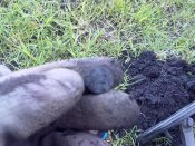 28042010023.jpg