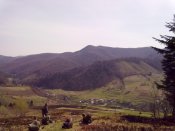 01052010026.jpg