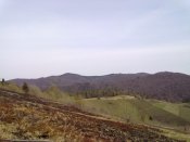 01052010027.jpg