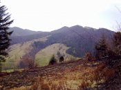 01052010028.jpg