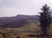 01052010029.jpg