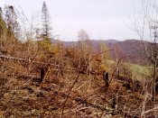 01052010030.jpg