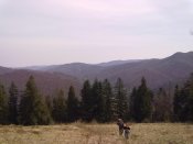 01052010031.jpg
