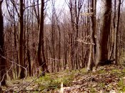 01052010033.jpg