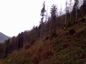 04052010038.jpg