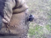 07052010044.jpg