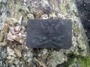 07052010046.jpg