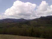 08052010055.jpg