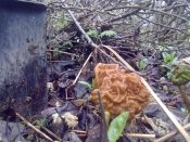 08052010056.jpg