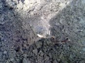 10052010062.jpg