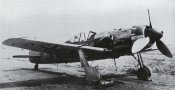 fw190d11nf9.jpg