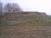 Foto_1325.jpg