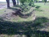PIC-0449.jpg