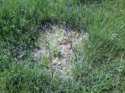 PIC-0444.jpg