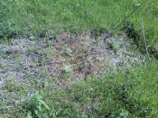 PIC-0445.jpg