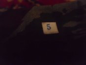DSCI4619.JPG