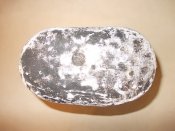 DSCN3892.JPG