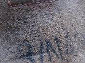 IMG_7318.JPG