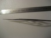 Изменение размера IMG_4744.JPG