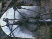 Image(12).jpg