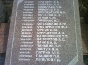 DSC00542.jpg
