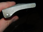 DSCN3948.JPG